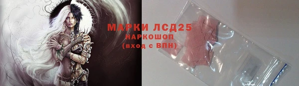 стаф Касимов