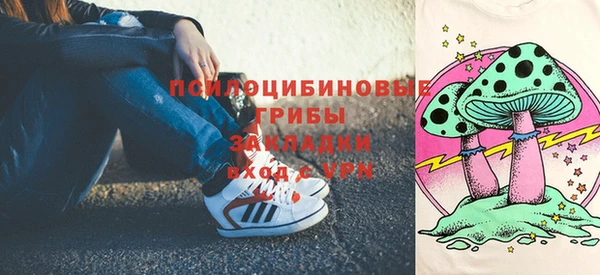 а пвп мука Алзамай