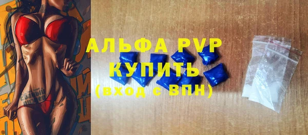 стаф Касимов