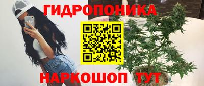 дмт Пушкино