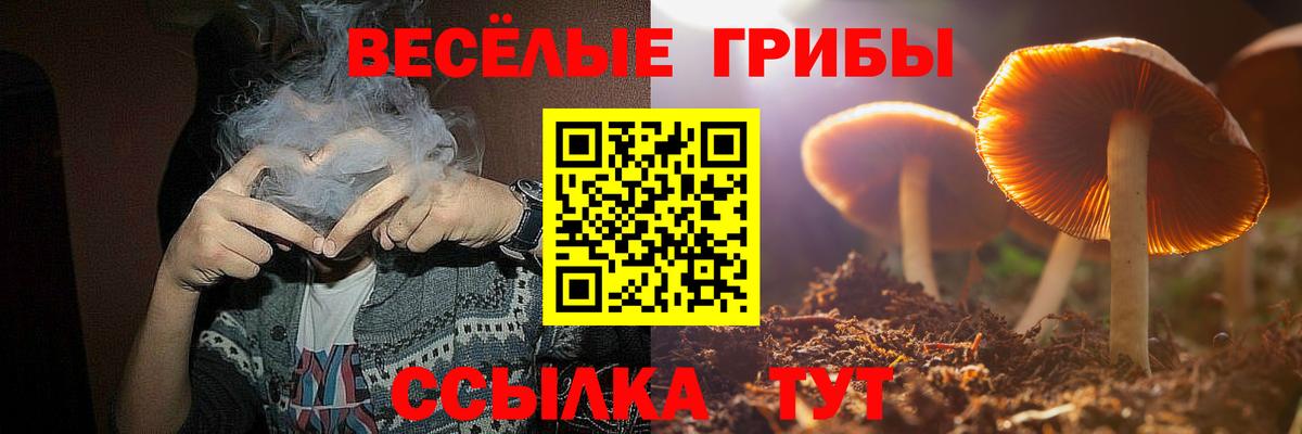 Псилоцибиновые грибы Psilocybine cubensis Салават