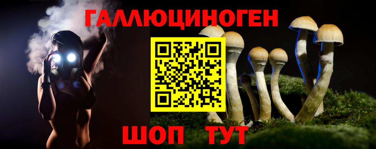 Галлюциногенные грибы Cubensis  Вход с VPN  Салават 